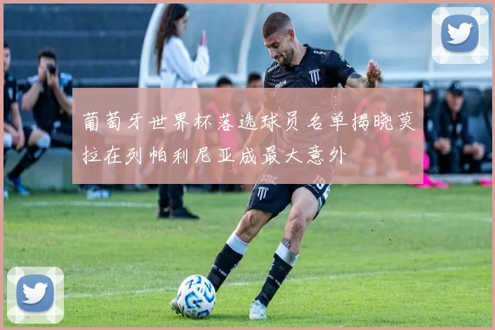 葡萄牙世界杯落选球员名单揭晓莫拉在列帕利尼亚成最大意外