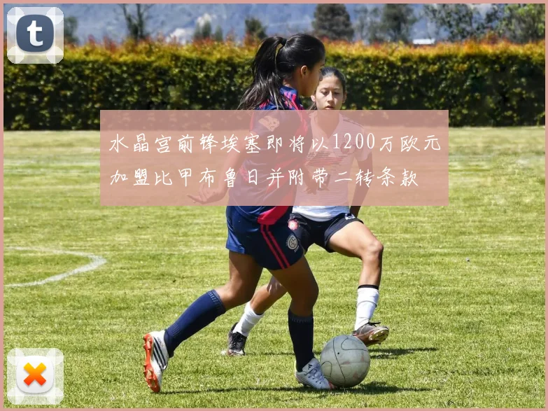 水晶宫前锋埃塞即将以1200万欧元加盟比甲布鲁日并附带二转条款
